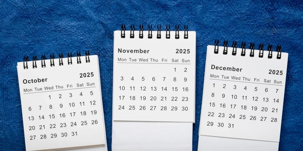 Для большинства жителей Латвии конец 2025-го и начало 2026 года пройдут в относительно мягком рабочем режиме, что позволит встретить зиму без перегрузки и начать год с новыми силами.