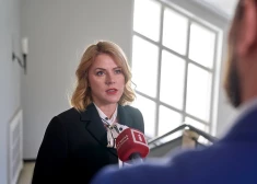Силиня - о Стамбульской конвенции: "Мне нужны единомышленники в обществе, которые не молчат тогда, когда другого бьют"