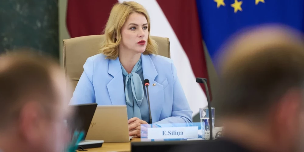 После голосования СЗК по Стамбульской конвенции Силиня признала нестабильность правительства.