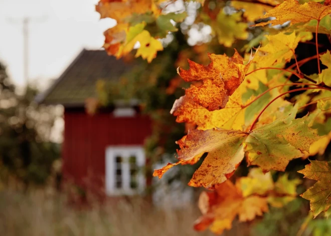 Осторожно, зима: как мороз, влага и воры атакуют пустующие дачи