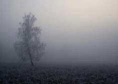Latvijas centrālajā daļā šodien līņās un būs novērojama dūmaka