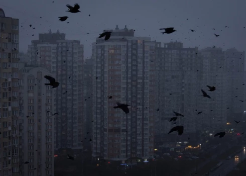 Вороны летают над многоэтажными жилыми домами во время блэкаута в Киеве, Украина, 29 ноября 2024 года.