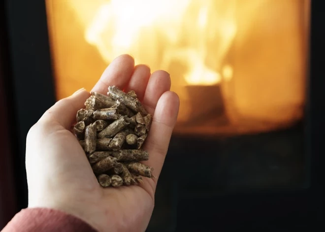 Цены на древесные гранулы в Балтии рванули вверх, но эксперты уверены, что это временно