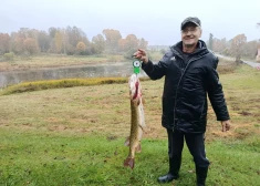 FOTO: Ilūkstes upē noķerta 7 kg smaga līdaka