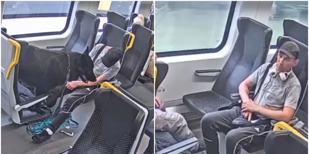 “Pasažieru vilciens” aicina palīdzēt atrast suņa saimnieku.