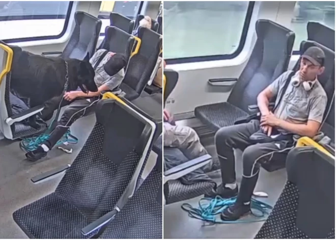 VIDEO: suns uzbrūk vilciena konduktorei – sabiedrību aicina palīdzēt atrast saimnieku