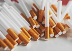 PVO aicina aizliegt cigaretes ar filtru – Eiropā nav vienota viedokļa par šo soli
