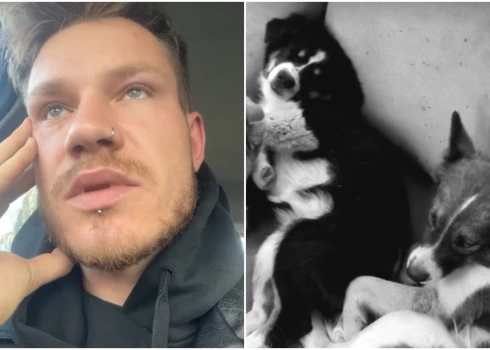 Zīmola "Modra olas" īpašnieks Modris Konovalovs dalās sāpīgā ziņā par suņu nošaušanu un meklē juridisku palīdzību.