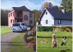 "Viņi bija pārvērtušies par kaujas ieroci!" Bauskas novada pašvaldības policijas priekšnieks skaidro, kādēļ tika pieņemts lēmums nošaut trīs suņus