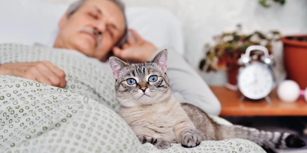 Иллюстративное фото.