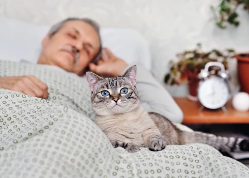 Иллюстративное фото.