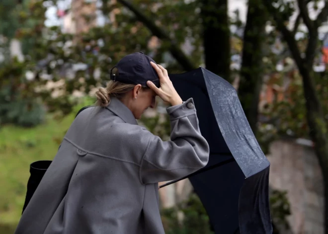 Стихия в столице: рижан просят сообщать о поваленных деревьях и соблюдать осторожность