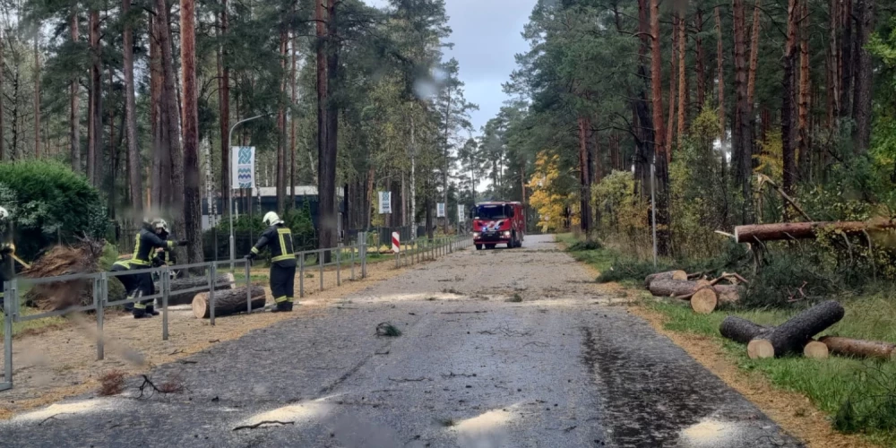 Ropažu novada pašvaldība informē par kritušiem kokiem stiprā vēja dēļ un aicina iedzīvotājus būt uzmanīgiem.