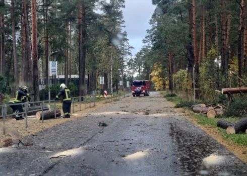 Ropažu novada pašvaldība informē par kritušiem kokiem stiprā vēja dēļ un aicina iedzīvotājus būt uzmanīgiem.