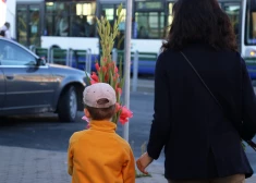 Katru gadu satiksmē cieš simtiem bērnu – aicina atjaunot satiksmes mācību skolās
