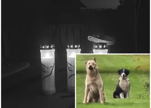 Pašlaik turpinās izmeklēšana un šodien tiek veiktas procesuālās darbības gan notikuma vietā, gan ar cietušo pusi, gan ar citām iesaistītajām personām.