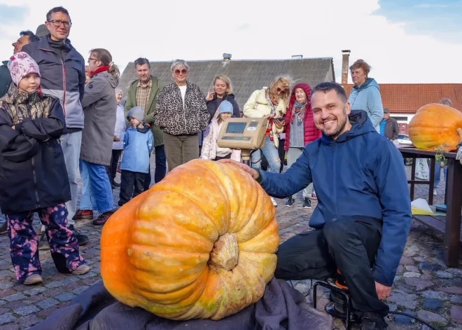 Jāņa izaudzētais "Varenais Donalds" svēra veselus 130,8 kilogramus un uzstādīja Ventspils tirgus rekordu.
