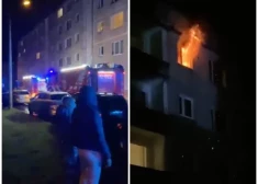 В результате ночного пожара в Пурвциемсе погибла собака - выясняются обстоятельства происшествия