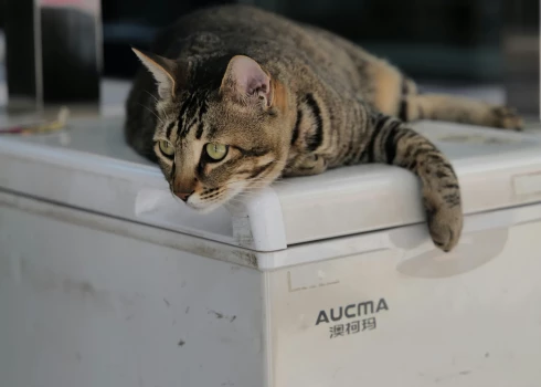 Ilustratīvs attēls.