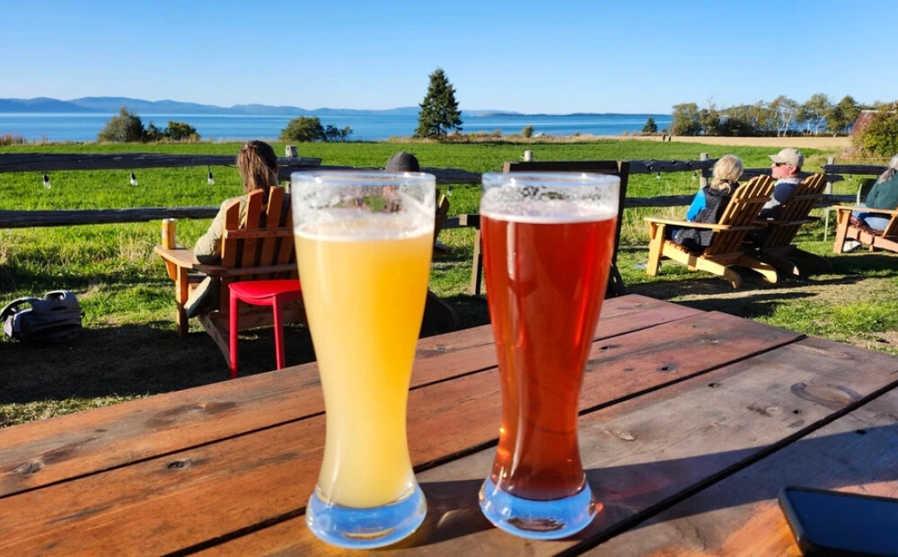 Kā alkohols ietekmē tavu holesterīna līmeni? Par šo daudzi pat neaizdomājas