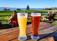 Kā alkohols ietekmē tavu holesterīna līmeni? Par šo daudzi pat neaizdomājas