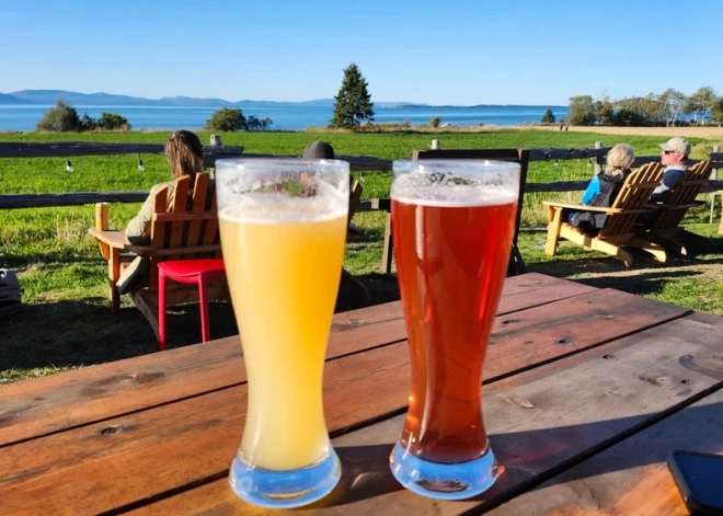 Kā alkohols ietekmē tavu holesterīna līmeni? Par šo daudzi pat neaizdomājas