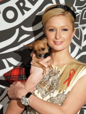 Parisa Hiltone ar savu populārāko sunenīti Tinkerbelu 2005. gadā.