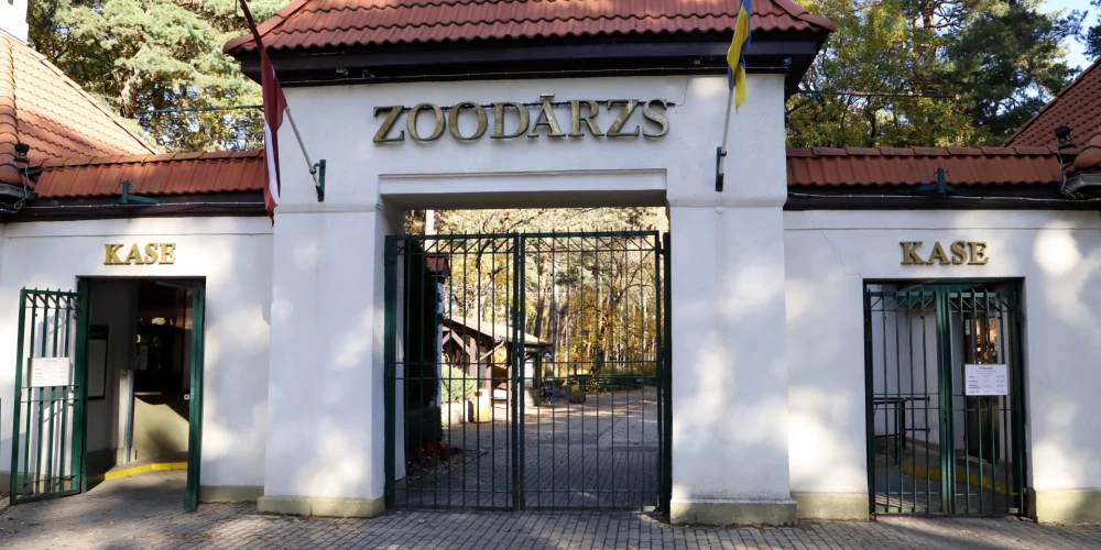 В прошлом году оборот SIA "Rīgas Nacionalais Zoologiskais dārzs" составил 5,42 миллиона евро, а прибыль - 14 830 евро.