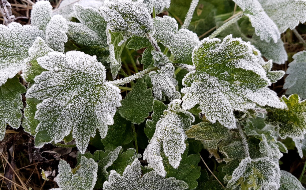 Nedēļas nogalē gaisa temperatūra var noslīdēt līdz -3 grādiem