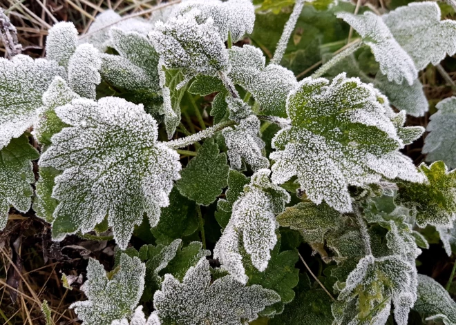Nedēļas nogalē gaisa temperatūra var noslīdēt līdz -3 grādiem
