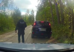 В Ропажском крае женщина "из-за финансовых трудностей" ездила с поддельными номерами и воровала топливо