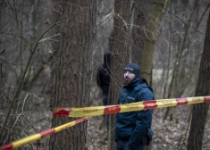 Šauļu rajonā izvērtusies traģēdija: mežā atrasts miris vīrietis, bet blakus viņam - līdz nāvei nosalusi sieviete