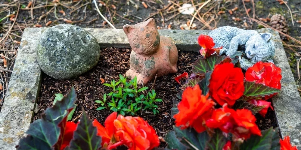 Цель самоуправления — создать достойное, ухоженное и доступное место, где жители смогут попрощаться со своими любимыми животными и сохранить память о годах, проведенных вместе.