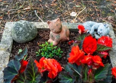 В Сигулдском крае создают кладбище для домашних животных