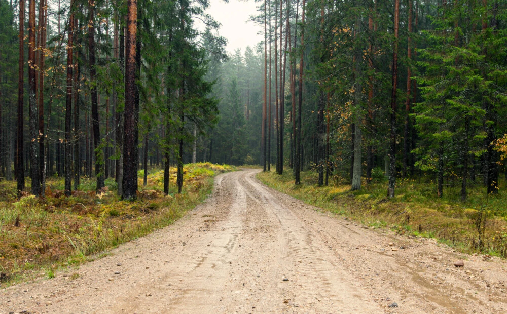 Šķīdoņa dēļ ievieš transporta masas ierobežojumus uz vairākiem Ludzas novada siem pagastu ceļiem