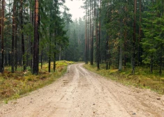 Šķīdoņa dēļ ievieš transporta masas ierobežojumus uz vairākiem Ludzas novada siem pagastu ceļiem