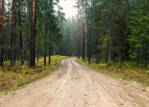 Paaugstināta vides mitruma ietekmē ievērojami samazinās ceļu nestspēja uz vairākiem Ludzas novada pagasta ceļiem.