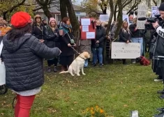 VIDEO: “Tu esi mans draugs…” ar asarām acīs suņu mīļi Bauskā dzied un protestē pret pašvaldības un policistu neizdarību saistībā ar neseno suņu nošaušanu