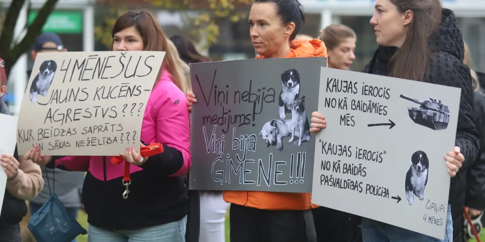 Piketa dalībnieki skandēja saukļus, piemēram, “reālu cietumsodu dzīvnieku slepkavām” un “Bauskas novads nav drošs”, kā arī vienojās dziesmā “Tu esi mans draugs” no Mārtiņa Freimaņa repertuāra.