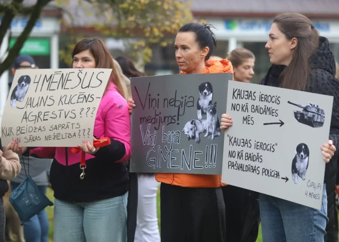 Piketa dalībnieki skandēja saukļus, piemēram, “reālu cietumsodu dzīvnieku slepkavām” un “Bauskas novads nav drošs”, kā arī vienojās dziesmā “Tu esi mans draugs” no Mārtiņa Freimaņa repertuāra.