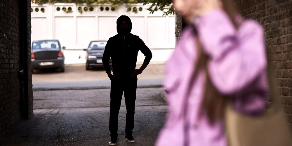 Piemērojot atbildību par vajāšanu, nav jāpierāda nolūks iebiedēt, norāda Saeima.
