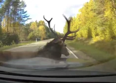 VIDEO: Miķelis publicē satraucošu video un aicina cilvēkus būt piesardzīgiem uz autoceļiem
