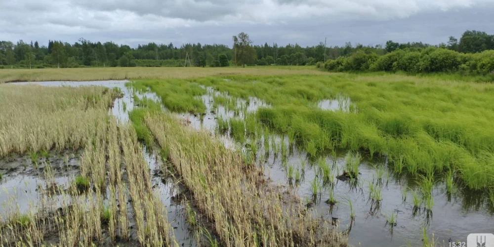 Šogad lauksaimnieki cīnījās gan ar pavasara salnām, gan lieliem plūdiem.
