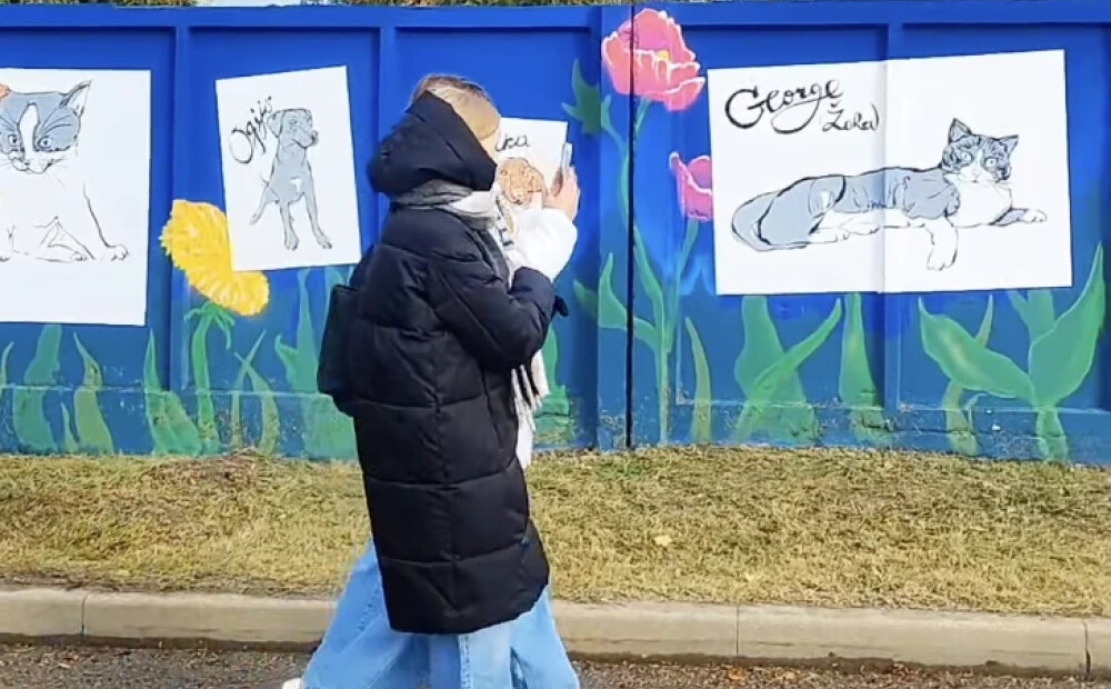 Rēzeknē atklāts apgleznotais žogs pie Dzīvnieku patversmes. VIDEO