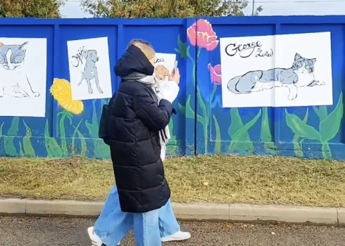 Gleznas tapa iedvesmojoties no iedzīvotāju iesūtītiem foto.
