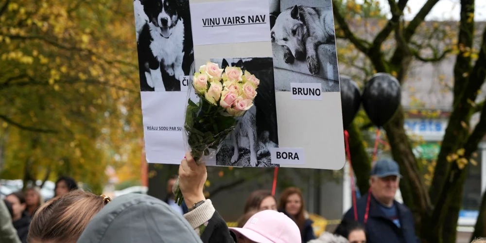 Šogad 10. oktobrī, pēc pašvaldībā skaidrotā, novada pašvaldības policija saņēma izsaukumu par trīs agresīvi noskaņotiem klaiņojošiem suņiem, kuri privātīpašumā Bauskas novada Brunavas pagastā apdraudēja saimnieci. 