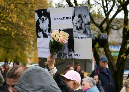 Šogad 10. oktobrī, pēc pašvaldībā skaidrotā, novada pašvaldības policija saņēma izsaukumu par trīs agresīvi noskaņotiem klaiņojošiem suņiem, kuri privātīpašumā Bauskas novada Brunavas pagastā apdraudēja saimnieci. 