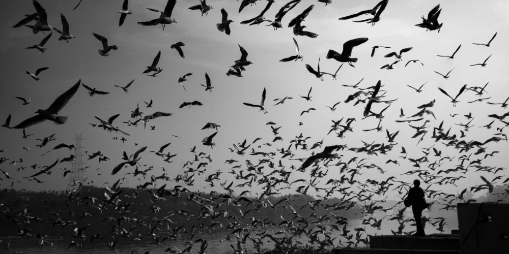 Иллюстративное фото.