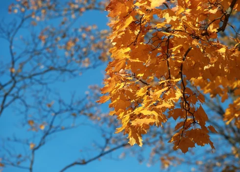 Иллюстративное фото.