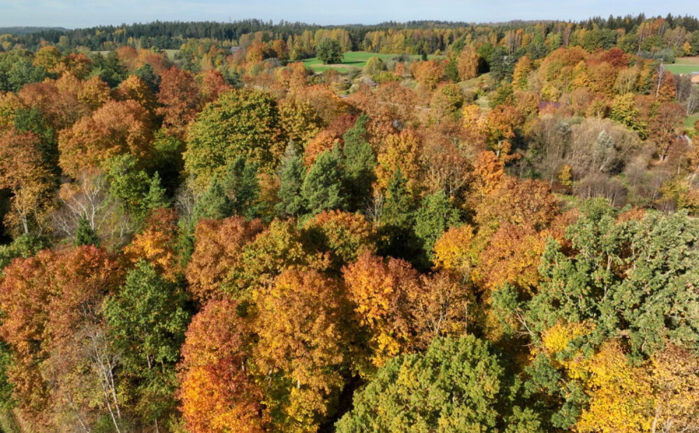 Sinoptiķi iepriecina! Nākamās nedēļas vidū Latvijā kļūs siltāks